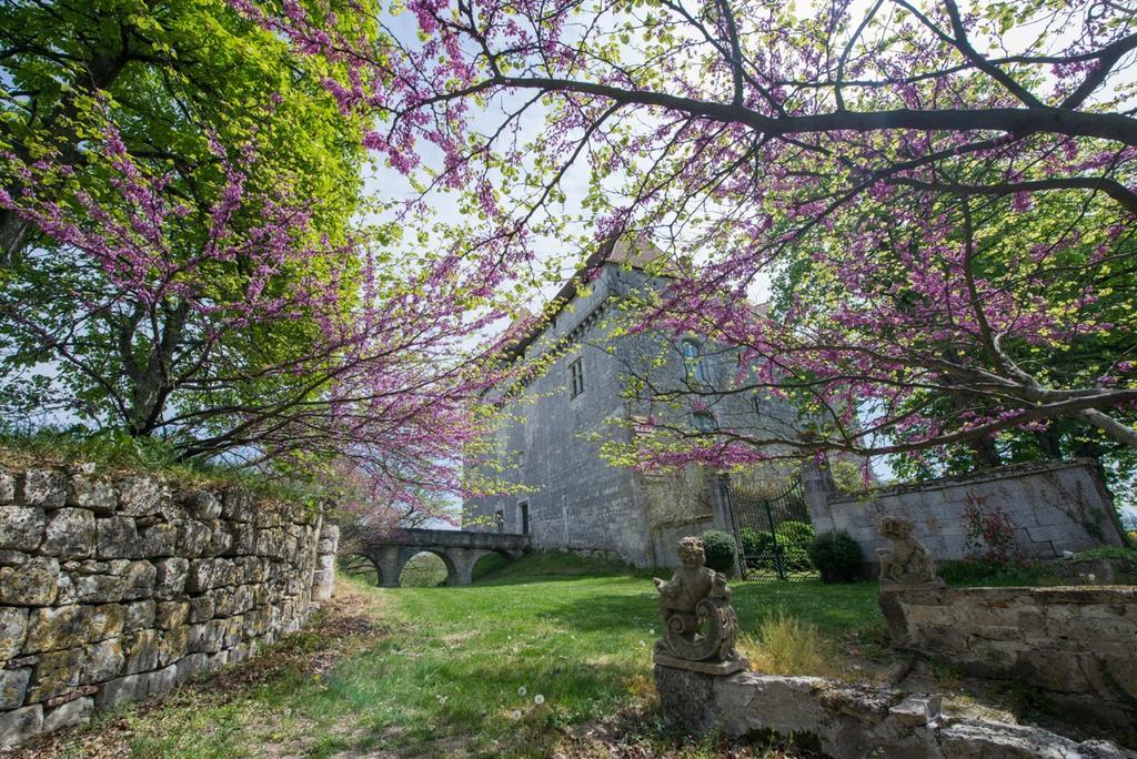 Chateau De Goudourville Villa Buitenkant foto